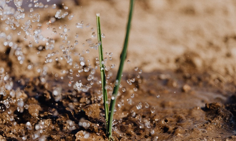 irrigazioni da giardino