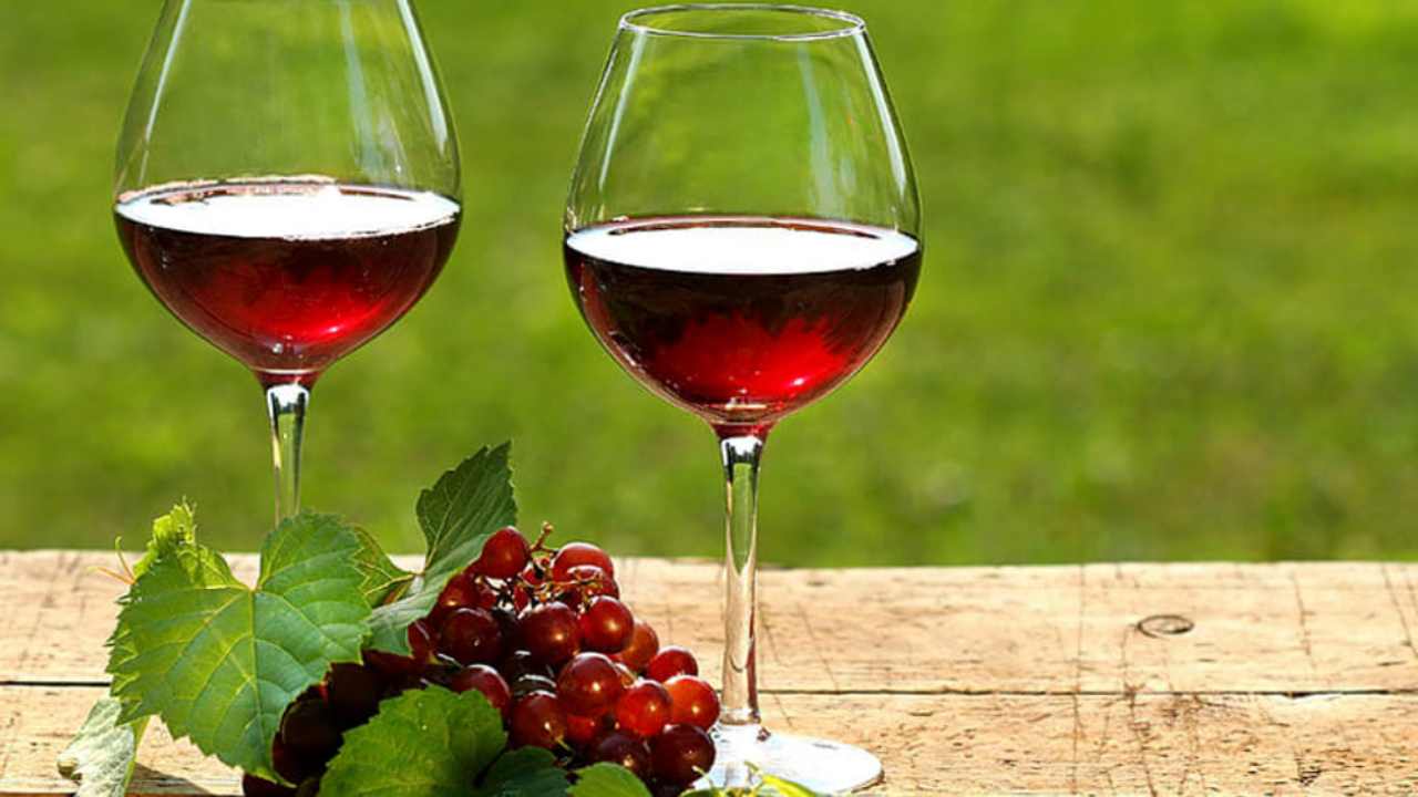 Il vino rosso, un ottimo fertilizzante per le piante