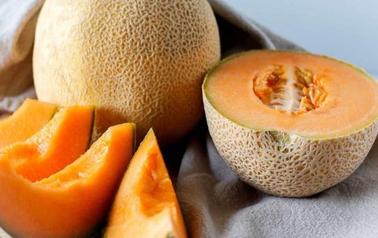 Il melone, un frutto dell'estate