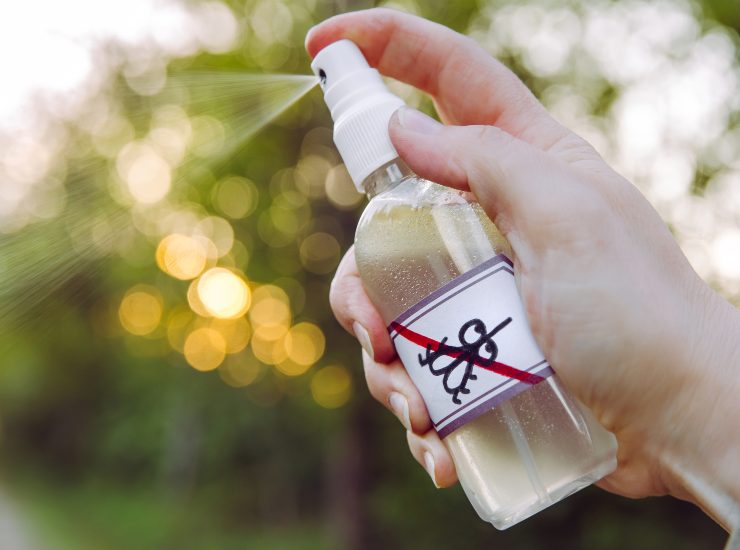 Spray anti-zanzare fai da te