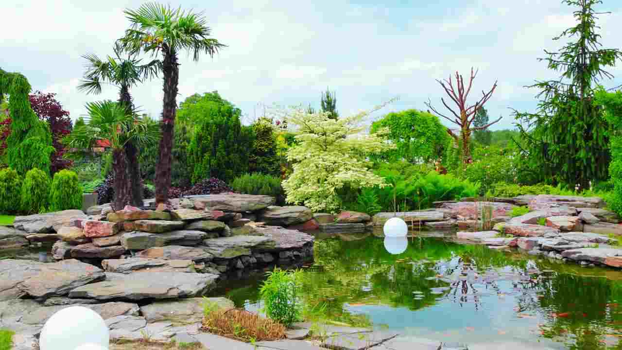 Biopiscine da giardino