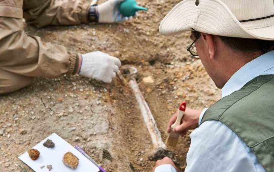 Archeologi al lavoro recuperano fossili