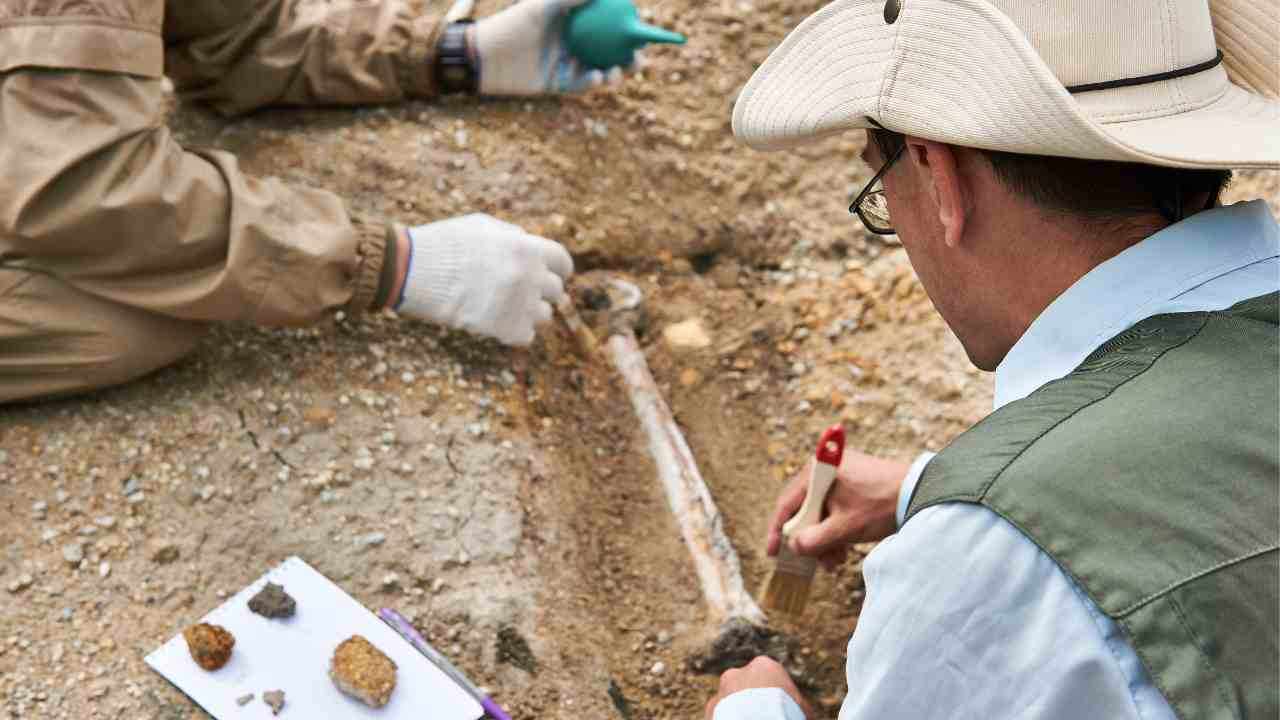 Archeologi al lavoro recuperano fossili