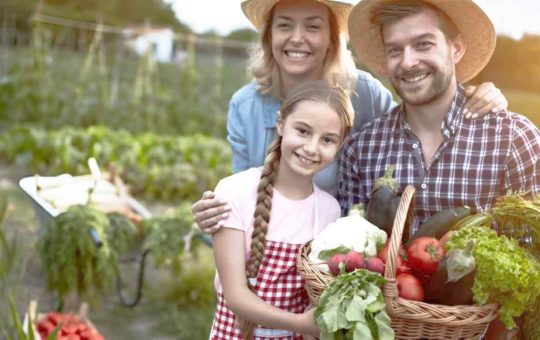 Alimentazione sostenibile, cibi chilometro zero