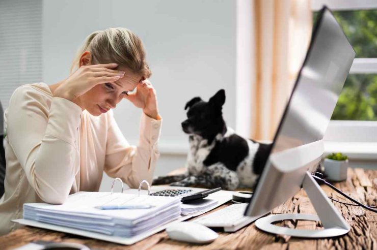 Ragazza stressata. il suo cagnolino la guarda preoccupato