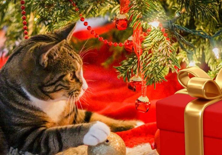 Gatto sotto l'albero di Natale