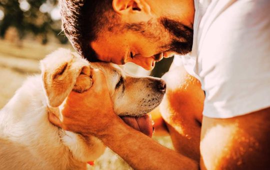 Un uomo con il suo cane